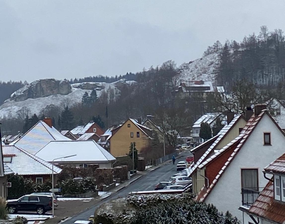 Steinberg-Blick Apartment Herzberg am Harz Luaran gambar